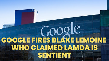 Google fires software engineer who claimed its AI chatbot is sentient