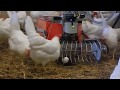 Intelligent Technology Smart Farming - Automatic milking machine, Collecting Eggs and Feeding