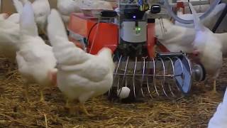 Intelligent Technology Smart Farming - Automatic milking machine, Collecting Eggs and Feeding(, 2016-10-31T06:41:49.000Z)