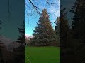 Jan 20 · Edinburgh's green #dailyvlog, #citylife, #slowtravel, #Scotland