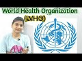 WHO | World Health Organization | विश्व स्वास्थ्य संगठन | Current affairs
