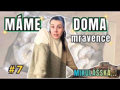 VLOGMAS 7 JDEME NA MIKULÁŠSKOU, PEČEME CUKROVÍ
