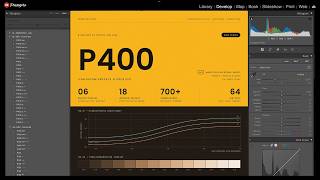 These Aren't Presets: DCP Camera Profiles for Lightroom Classic | RAW Series P400