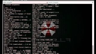 Celebrity UFPTC - Unit 2-3 - Netcat Shells Net Worth