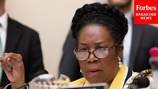 Sheila Jackson Lee Says Reparations Can Help Bring Unity To America