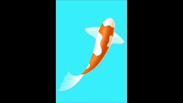 Coy Koi (Procreate timelapse)