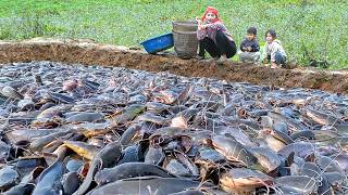 Single Mom Caught 600kg+ Monster Catfish & Huge Carp with DIY Basket Fish Trap for Sale with Family