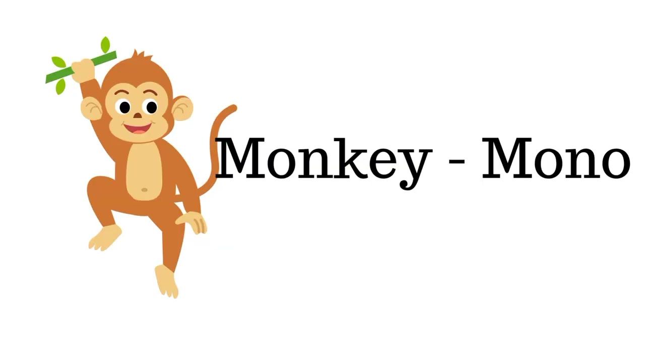 Spanish animal names 