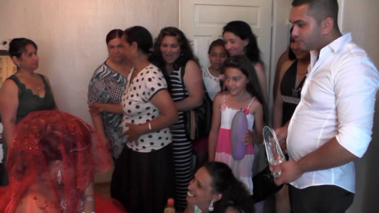 3 DVD GODEJ NA CANI I SEVI