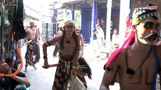 TARI WAROK - SINGO BARONG NEW ARJUNA - Live Malangrejo - D'VA Audio