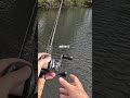 Saratoga SURFACE STRIKE!!!