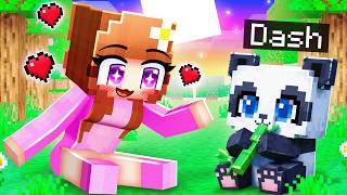 Playing As A Baby Panda In Minecraft