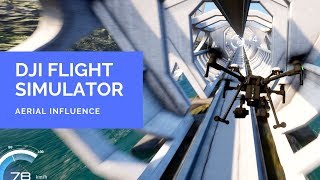 Testing the DJI Flight Simulator screenshot 3