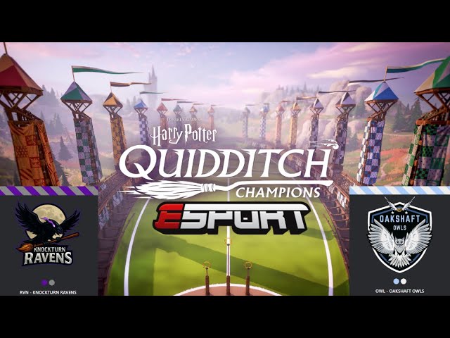 Pro Series [ RVN VS OWL | Harry Potter: Quidditch Champions ]