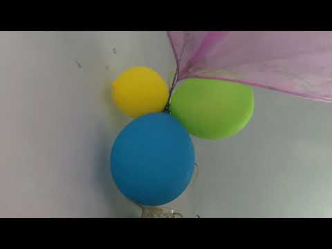 Video Vườn Hoa Giấy Siêu Khổng Lồ Tại Tam Vinh Phú Ninh - youtube