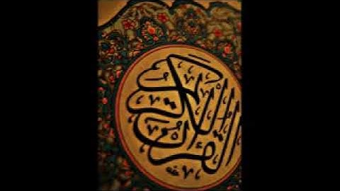سورة الهمزة   عزيز عليلي