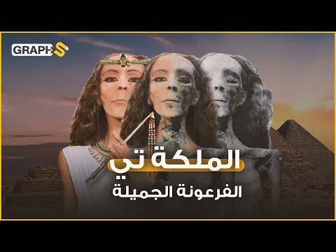 فيديو: 550 راتبًا لـ 