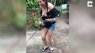 Download Lagu Cheeky Monkey Climbing On Tourist Pulls Down Her Top
