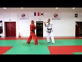 Masterclass hapkido jjk online