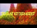 So bunt ist der Herbst…