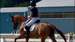Jenna Brown & Flexi - First Level Test 3 - 73.056%!