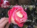 Выходные в Крыму. Зима Крым 2018. Часть 2