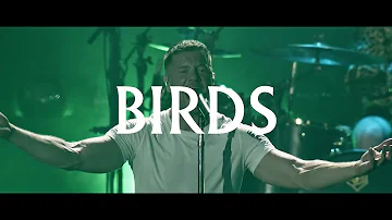 Imagine Dragons - Birds - LIVE in Vegas