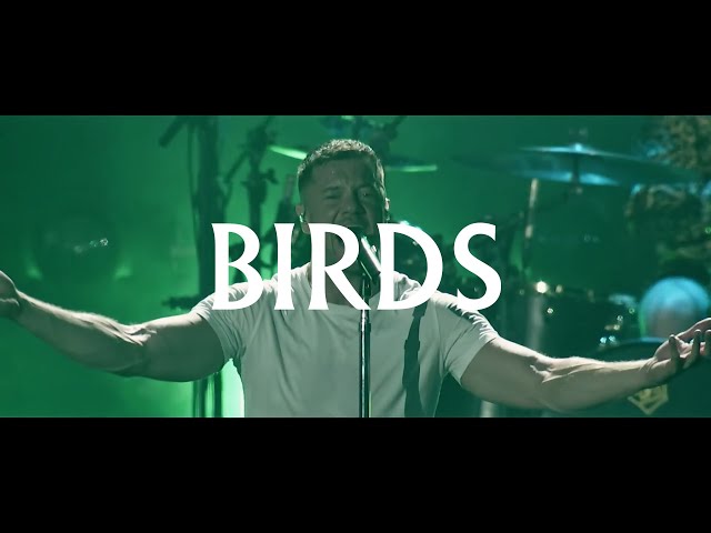 Imagine Dragons - Birds - LIVE in Vegas class=