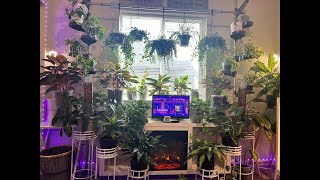 PLANT ROOM UPDATE - PART 3