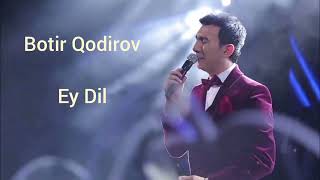 Botir Qodirov - Ey Dil