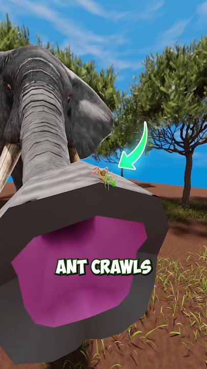 Elephant vs Ant A Battle You Won’t Believe🐜🐘