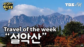 Enjoy the vibrant colors of autumn leaves ⛰ : 설악산