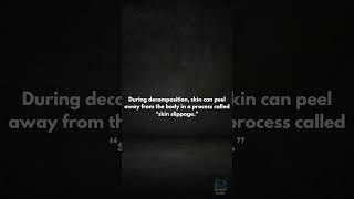I'M MELTING 🫠 #creepy #creepyfacts #night #scaryfacts #scary #nightmarenarratives
