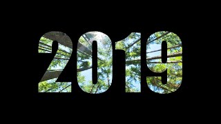 2019 EL MEJOR AÑO DE MI VIDA