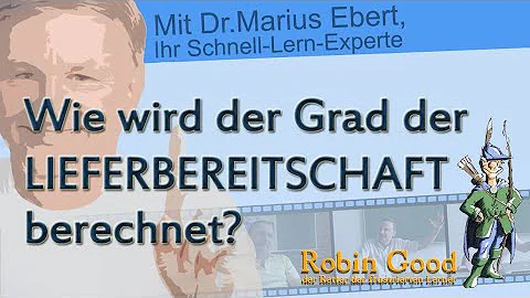 Was ist der Servicegrad und wie wird er berechnet?