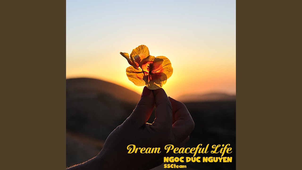 Dream Peaceful Life YouTube