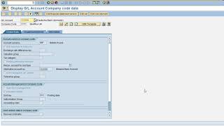 ERP Accounting (SAP) General Ledger Accounting Exercise 6