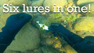One fishing lure turns out to be six!