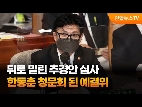뒤로 밀린 추경안 심사…한동훈 청문회 된 예결위 / 연합뉴스TV (YonhapnewsTV)