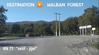 Walban Forest Part 2                                   🇩🇿غــابـة والبــان الجــزء الثــاني