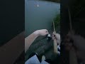 ウナギで英気を養います！