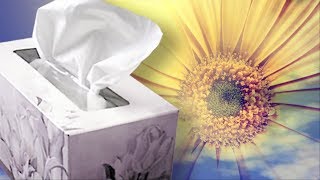 The Top 10 Worst Cities for Spring Allergies