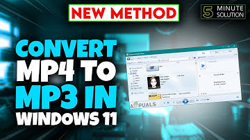 How to Convert MP4 to MP3 in Windows 11 [2024]