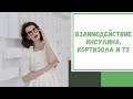 Лайфхак №93. Взаимодействие инсулина, кортизола и Т3