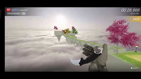 I became the 24th best in the world on the Go map (bhop pro).