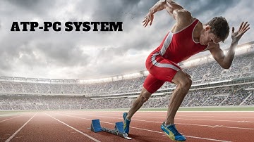 ATP PC system (breakdown of PC)