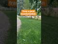 #they4rdb0ys #yardwork #yardtransformation #lawnmowingbusiness #makingcash