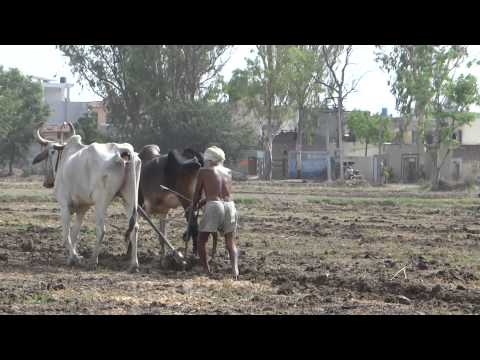 purana-panjab-old-panjab