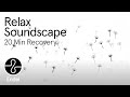 Relax: 20 Min of Recovery Soundscape | Endel