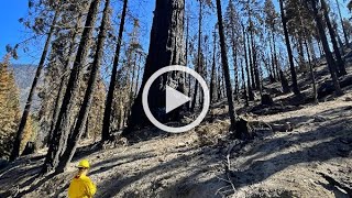Surveying Windy Fire damage at Leagues Red Hill property, Oct. 2021